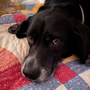 Meet your Posher, Madeline